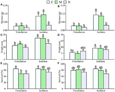 Belowground Root Competition Alters the Grass Seedling Establishment Response to Light by a Nitrogen Addition and Mowing Experiment in a Temperate Steppe